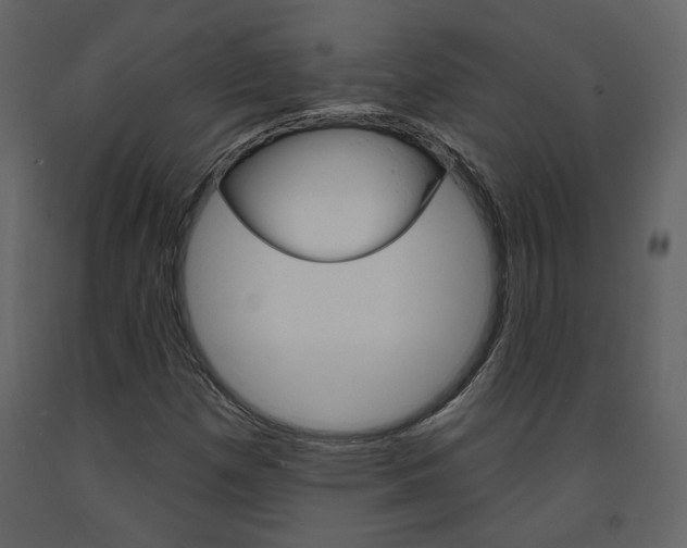 X0000094071257200710190948