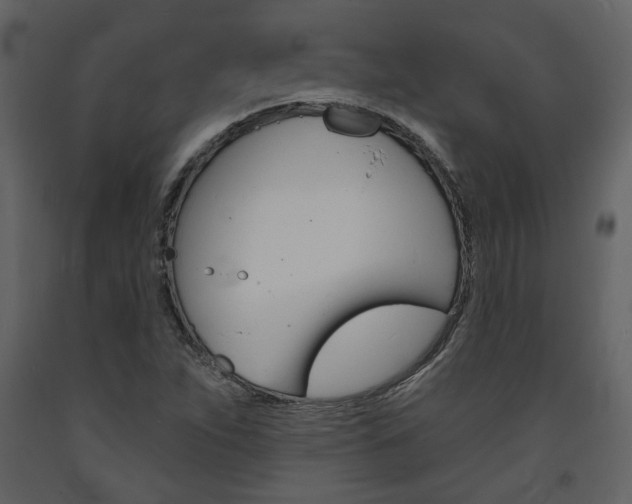 X0000094071263200710190948