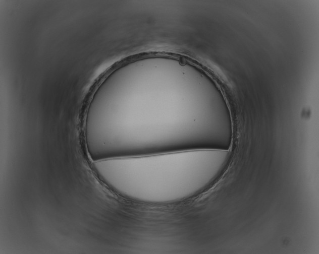 X0000094071264200710190948