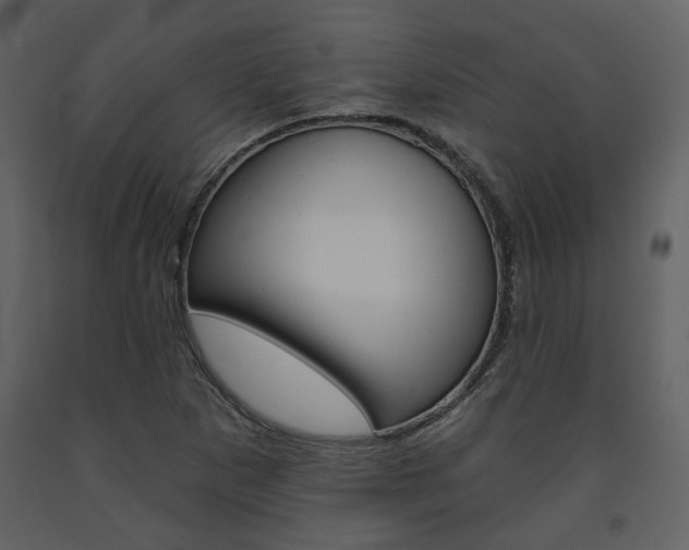 X0000094071265200710190948