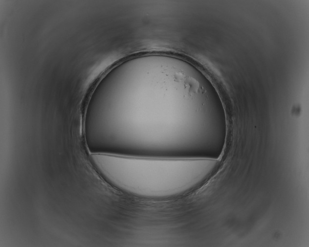 X0000094071269200710190948