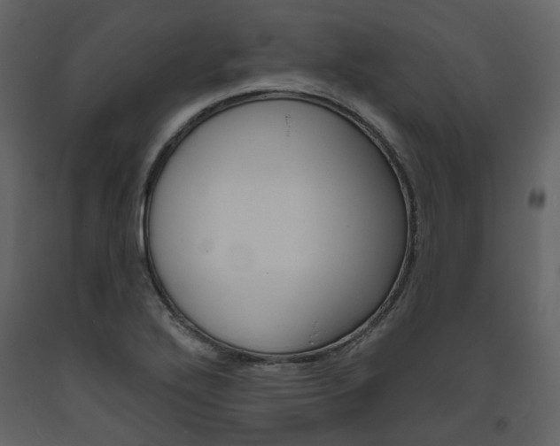 X0000094071272200710190947
