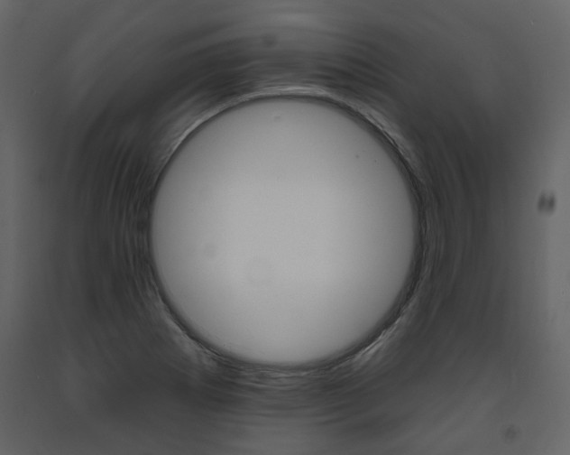 X0000094071273200710190947