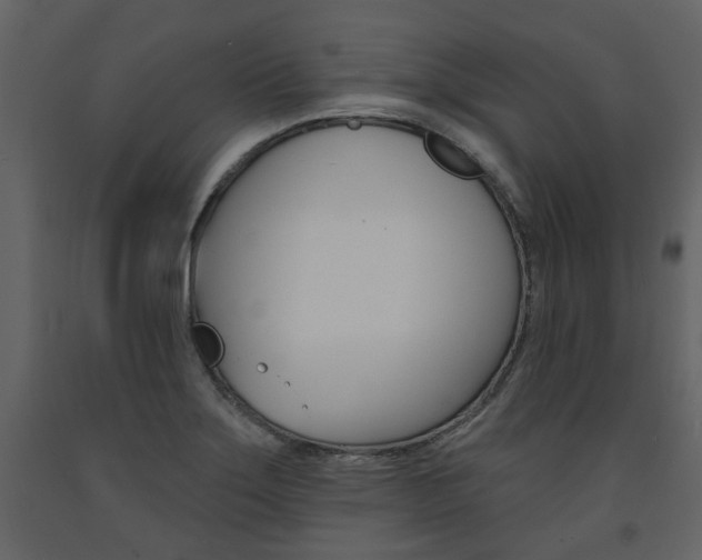 X0000094071275200710190947