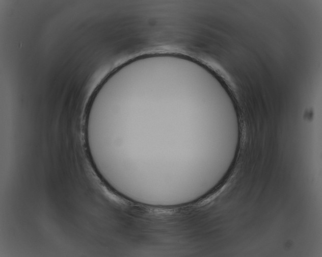 X0000094071278200710190947