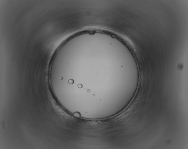 X0000094071279200710190947