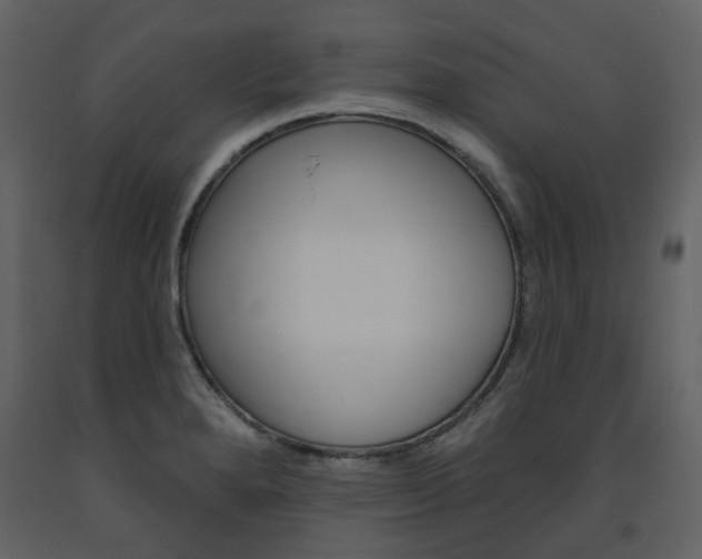 X0000094071280200710190947