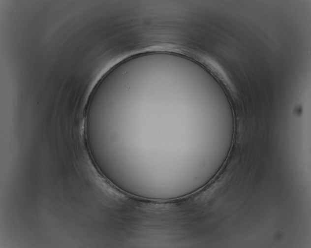 X0000094071284200710190947