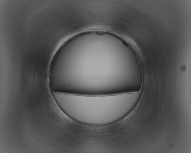 X0000094071288200710190947