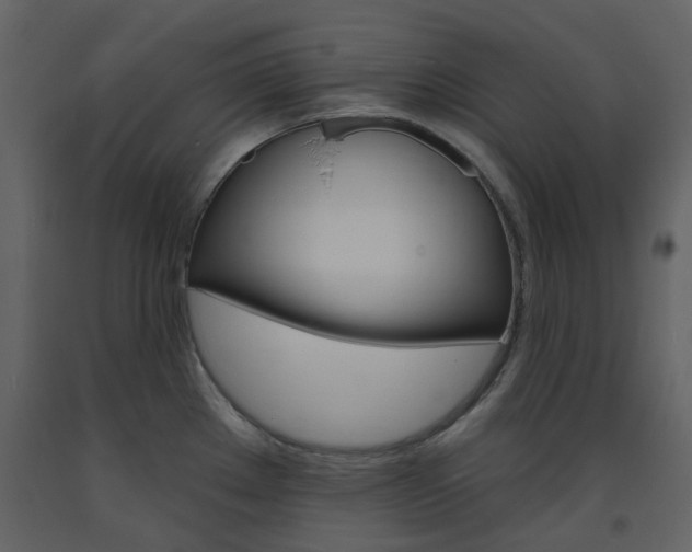X0000094071289200710190947