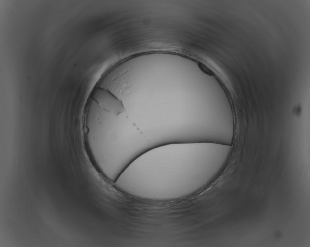 X0000094071291200710190947