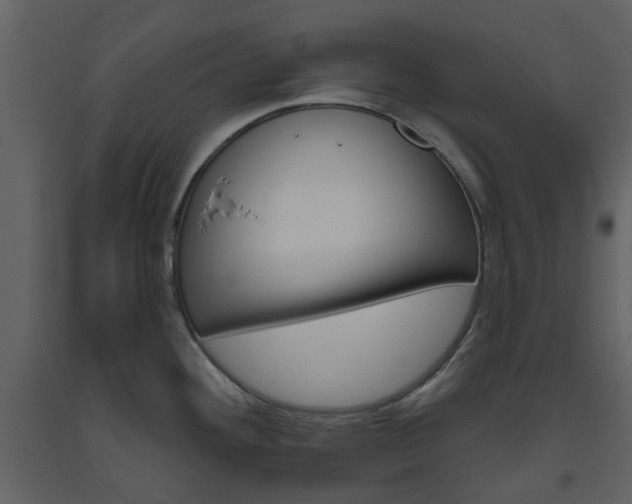 X0000094071292200710190947