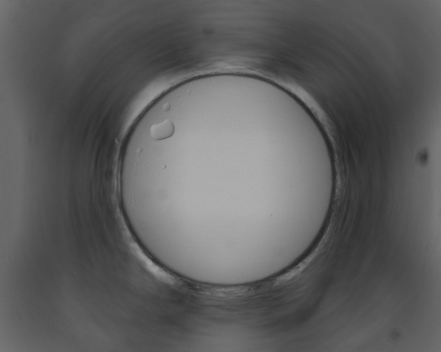 X0000094071294200710190947
