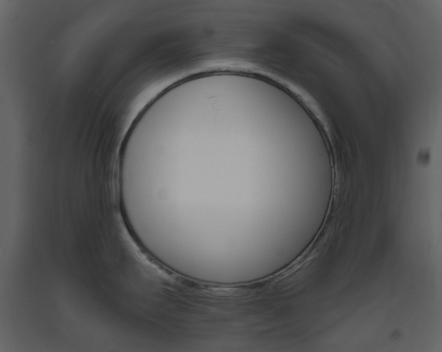 X0000094071295200710190947