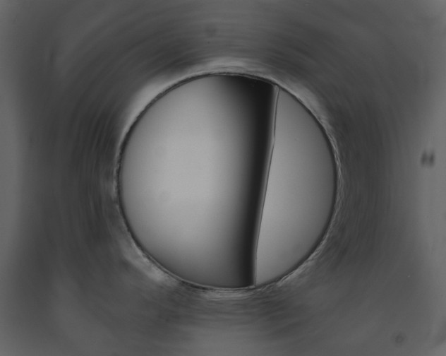 X0000094071296200710190947
