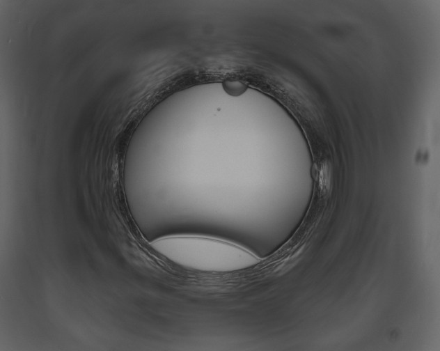 X0000094071299200710190946