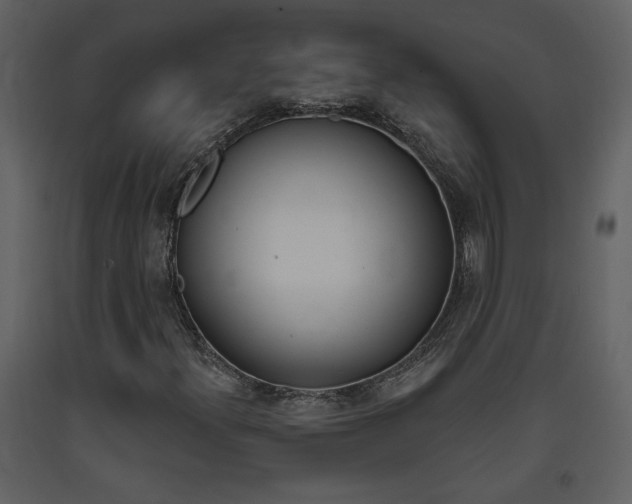 X0000094071300200710190946