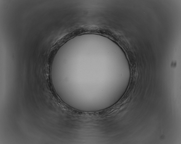 X0000094071301200710190946