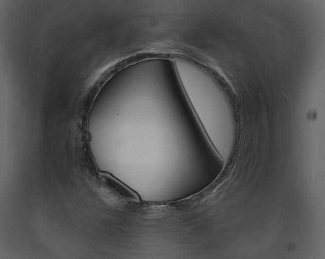 X0000094071304200710190947