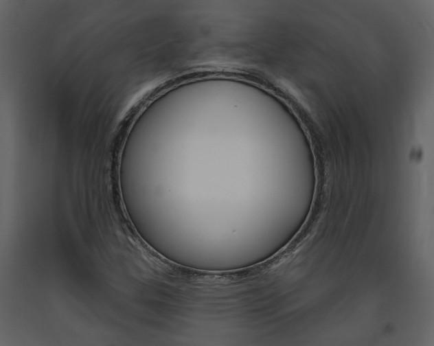 X0000094071307200710190947