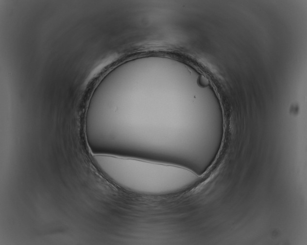 X0000094071309200710190947