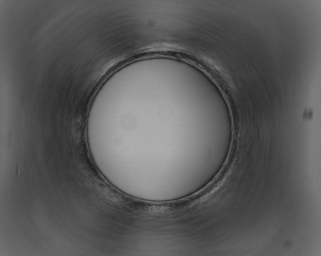 X0000094071313200710190947