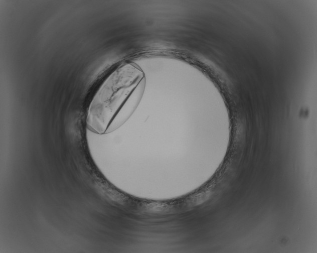 X0000094071314200710190947