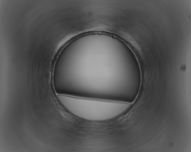 X0000094071316200710190947