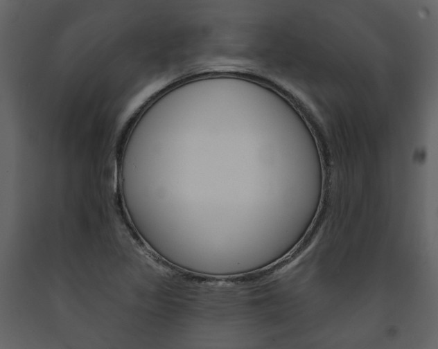 X0000094071317200710190947