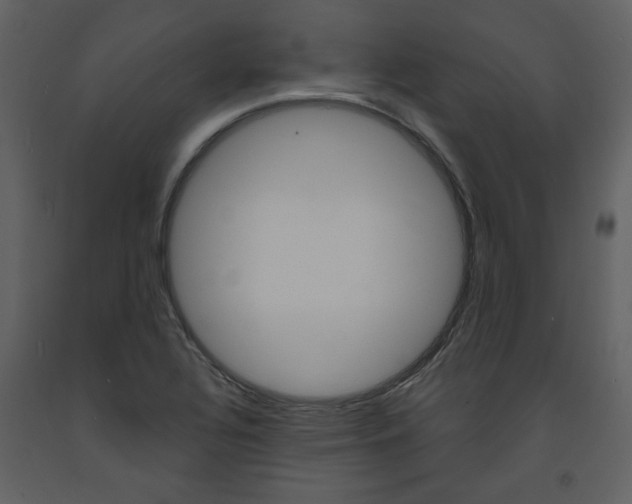 X0000094071320200710190947