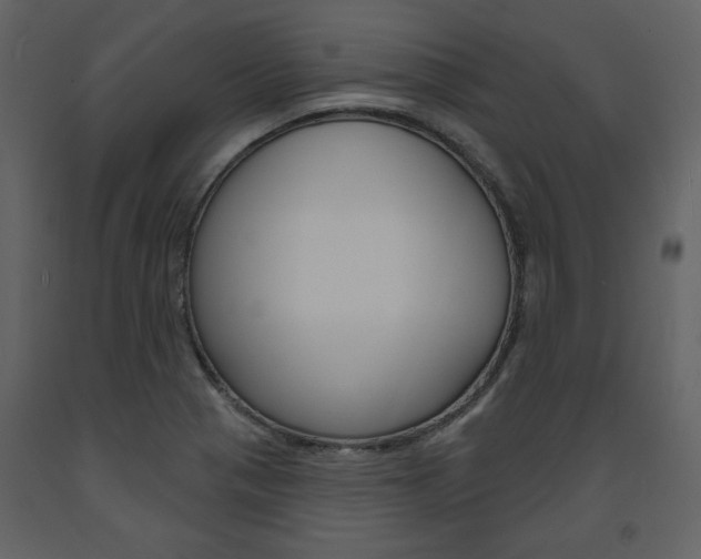 X0000094071321200710190947
