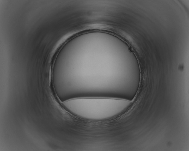 X0000094071323200710190947