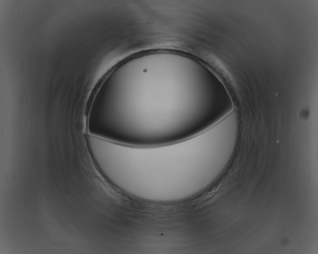 X0000094071324200710190947