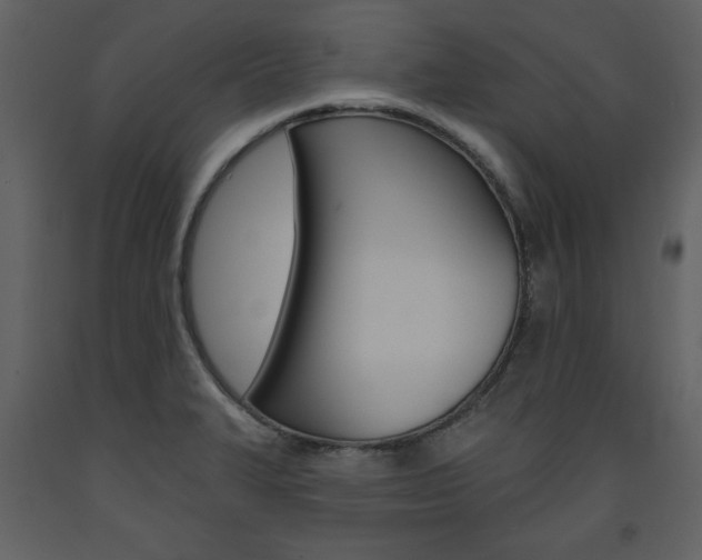 X0000094071327200710190947