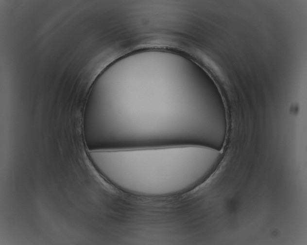 X0000094071329200710190947