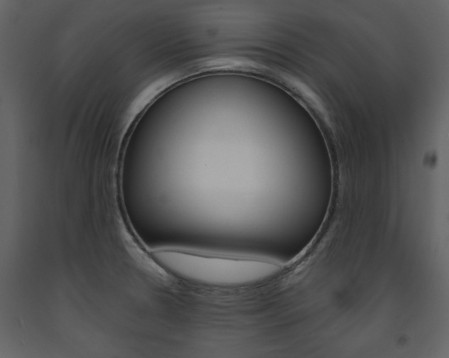 X0000094071330200710190947