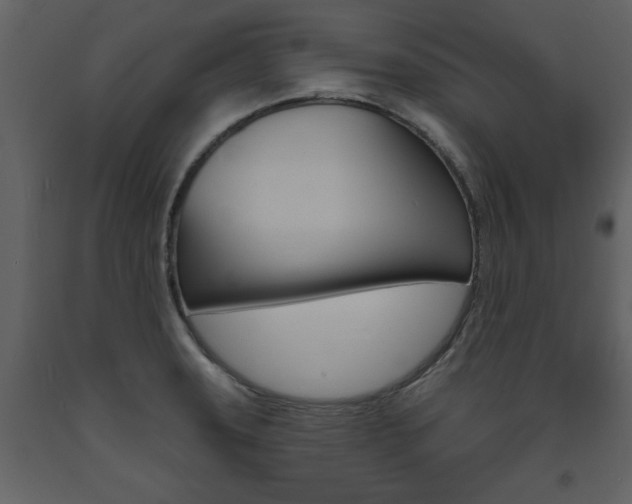 X0000094071331200710190947