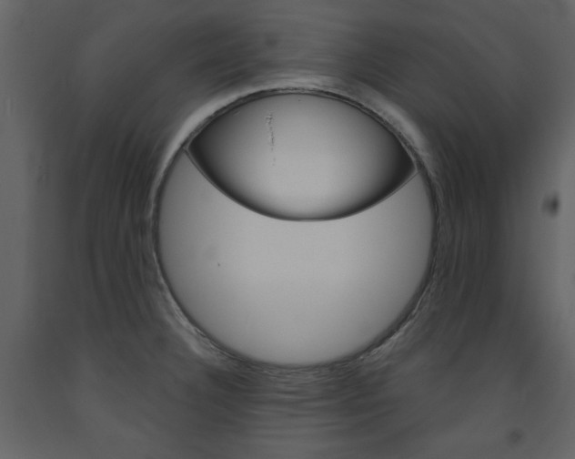 X0000094071332200710190947