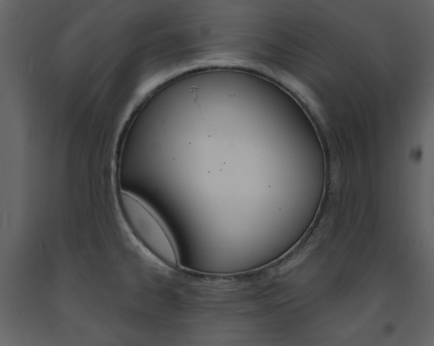 X0000094071334200710190947