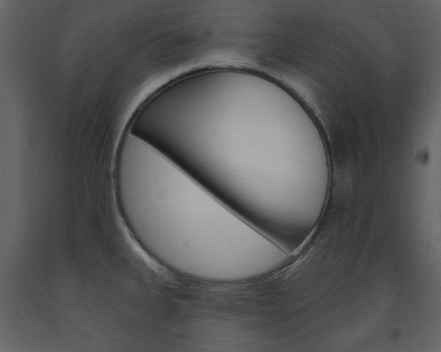 X0000094071335200710190947