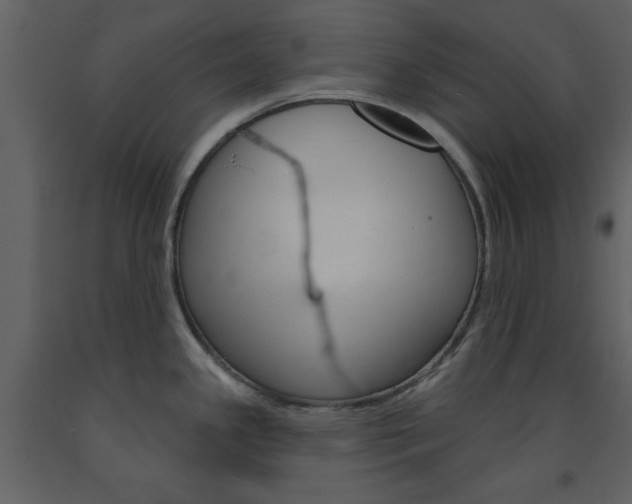 X0000094071341200710190947