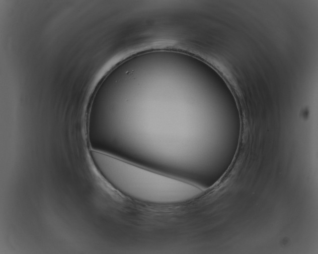 X0000094071342200710190947