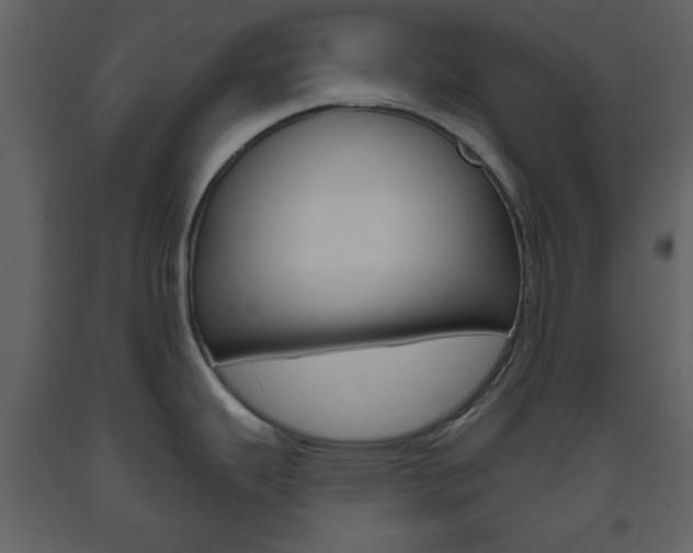 X0000094071343200710190947