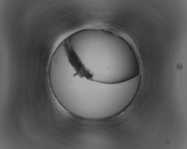 X0000094071344200710190947