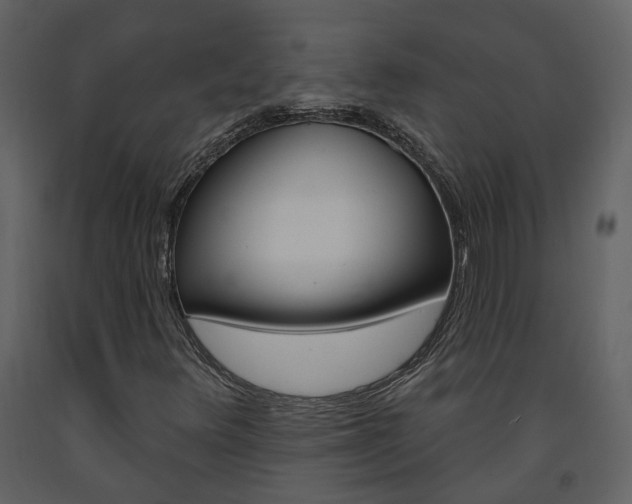 X0000094071348200710190946