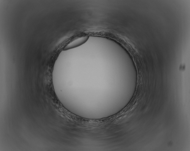 X0000094071350200710190946