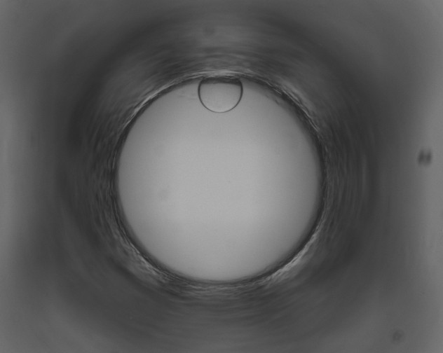 X0000094071353200710190946