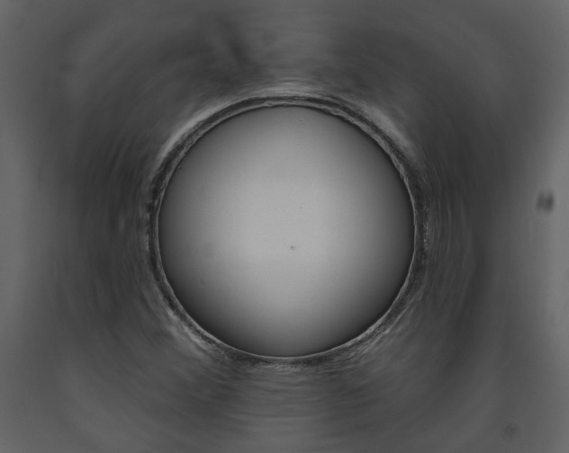 X0000094071356200710190946