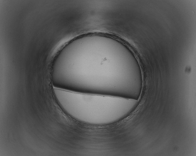 X0000094071359200710190946