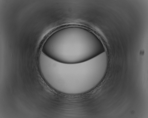 X0000094071360200710190946
